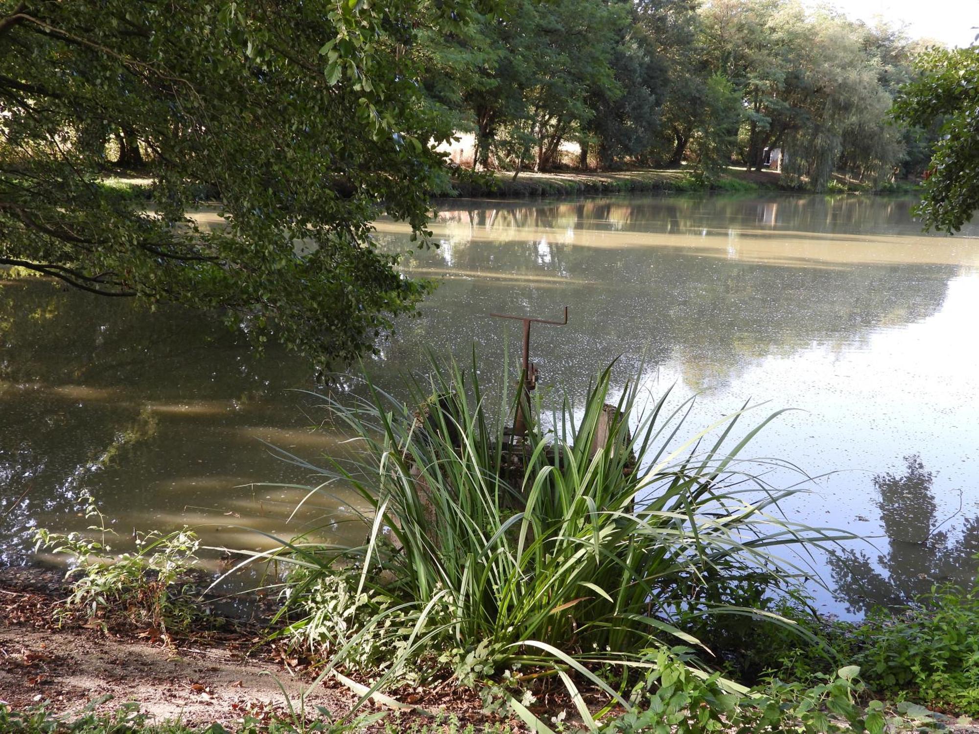 Le Hameau De La Closerie Flere-la-Riviere المظهر الخارجي الصورة