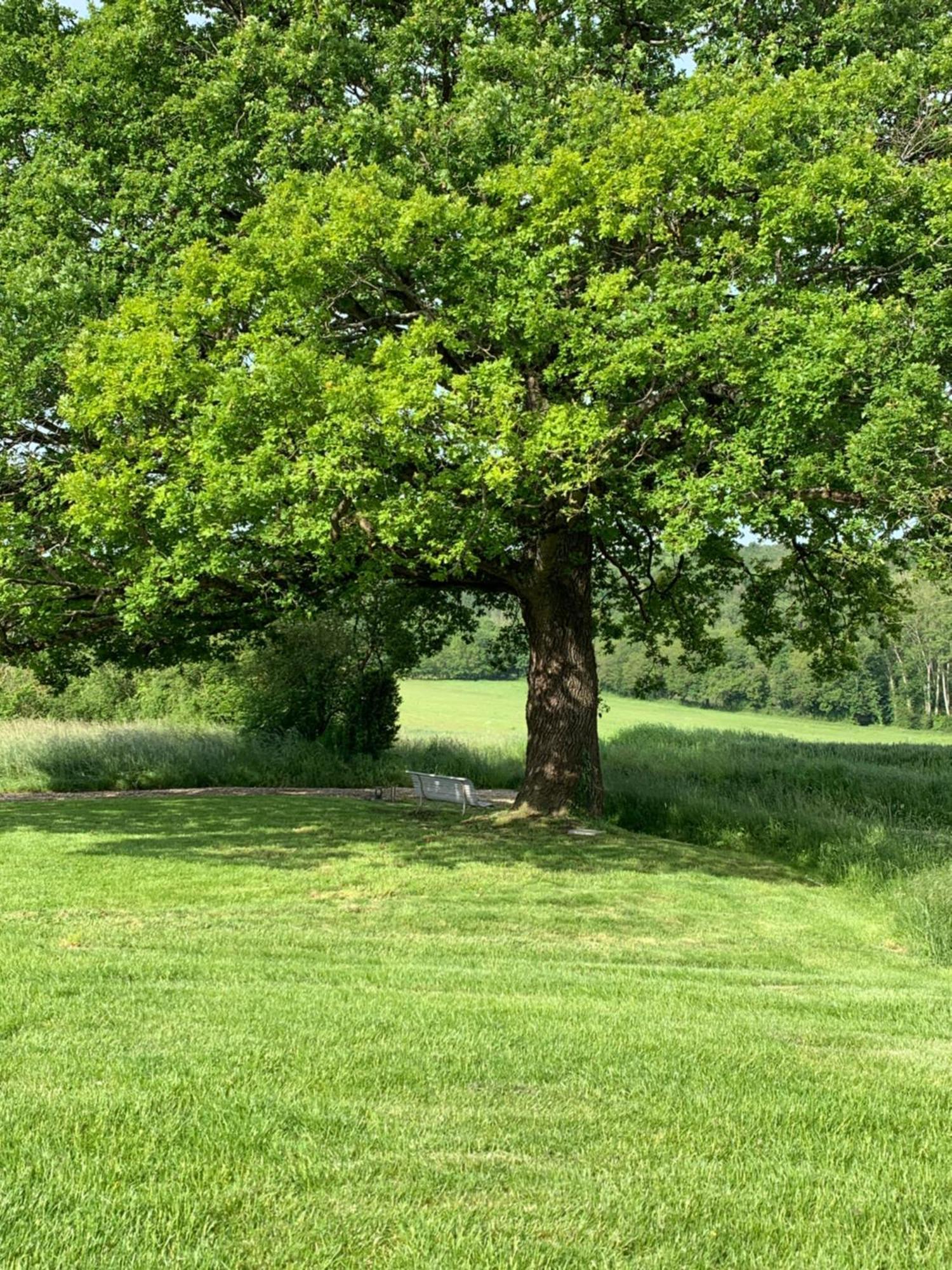 Le Hameau De La Closerie Flere-la-Riviere الغرفة الصورة